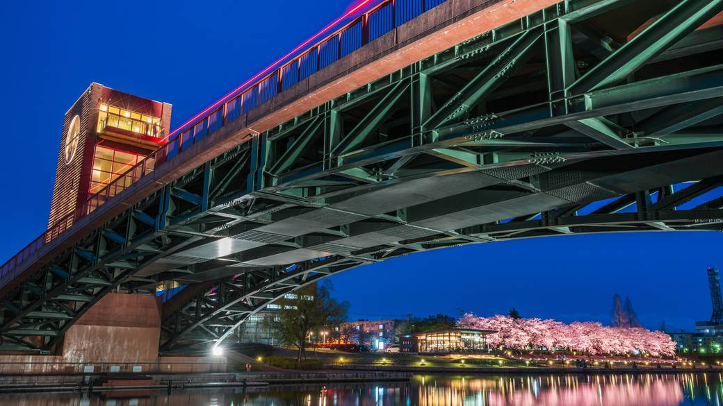 夜のライトアップされた環水公園 / 5