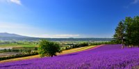 2人で過ごす贅沢なひと時。カップルで泊まりたい北海道のおすすめホテル11選