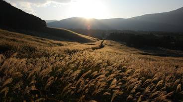 シティ ビュー / 29