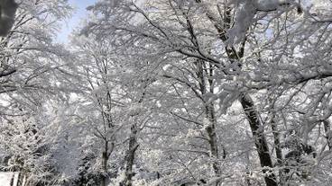 施設からの眺望 / 12