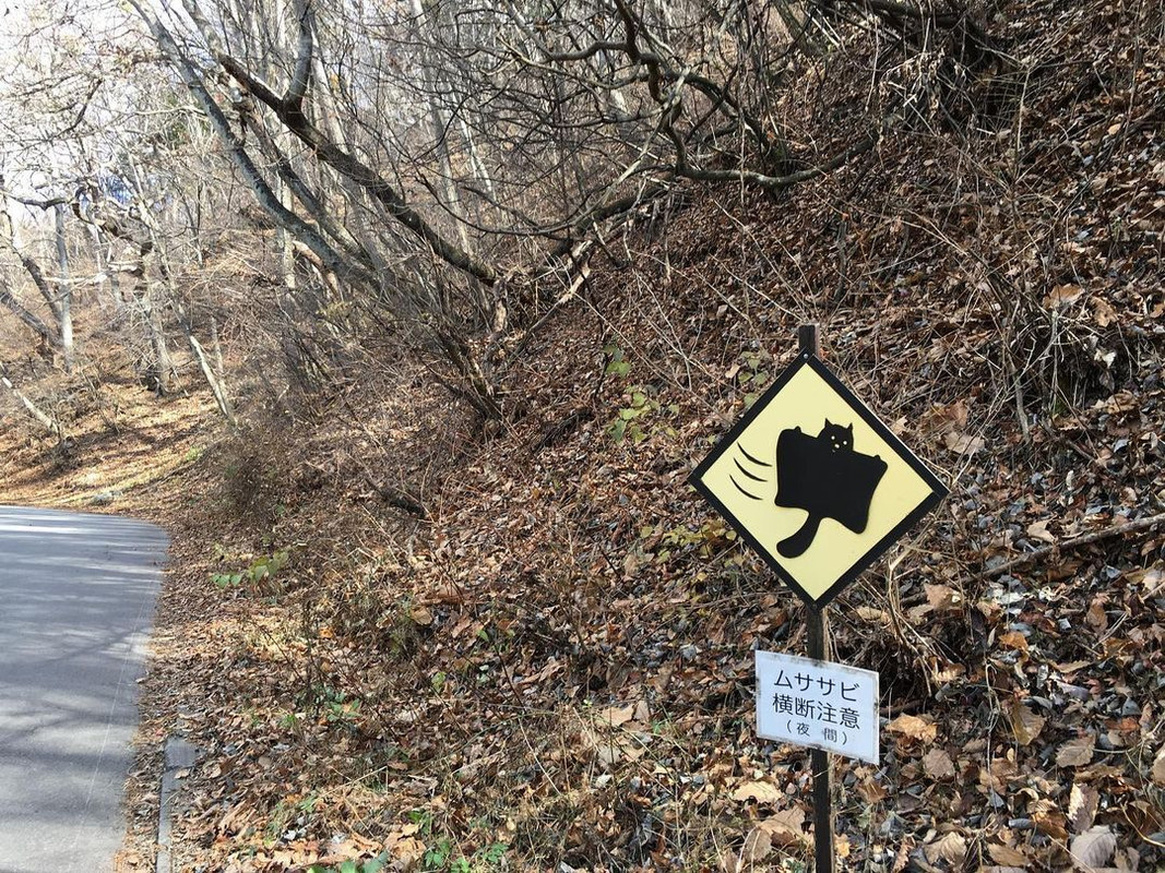 hashi_yumiさんの写真 / 3