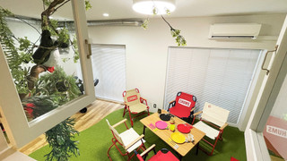 Tree house room, Non Smoking