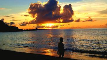 施設からの眺望 / 15