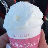 12か月のジェラート(ジュウニカゲツノジェラート)