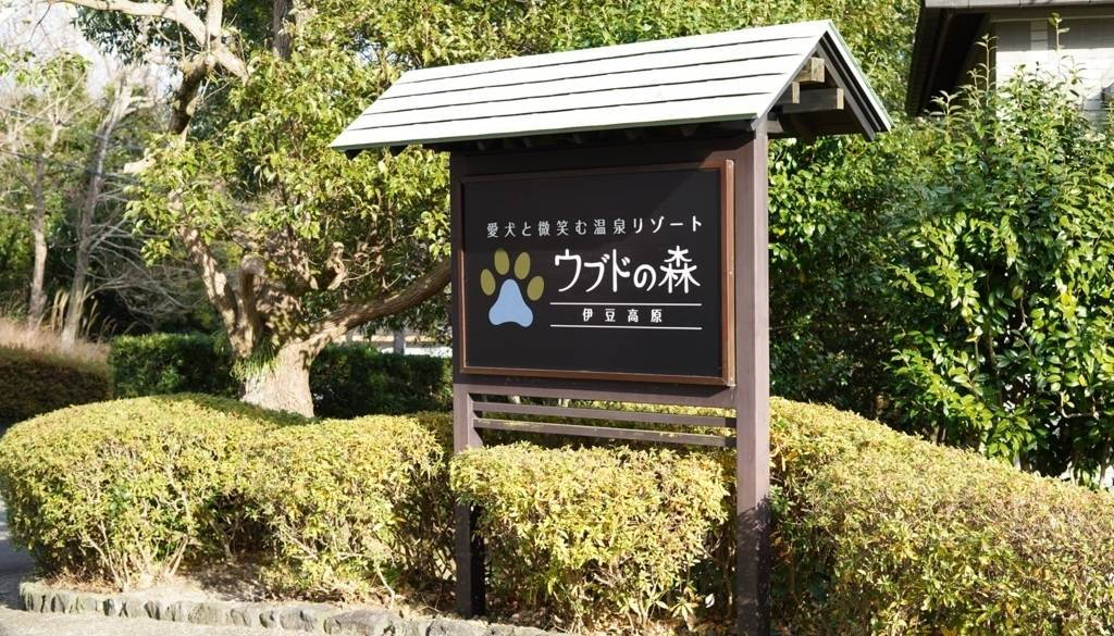 自然に囲まれた
異国情緒漂うホテルへ / 2