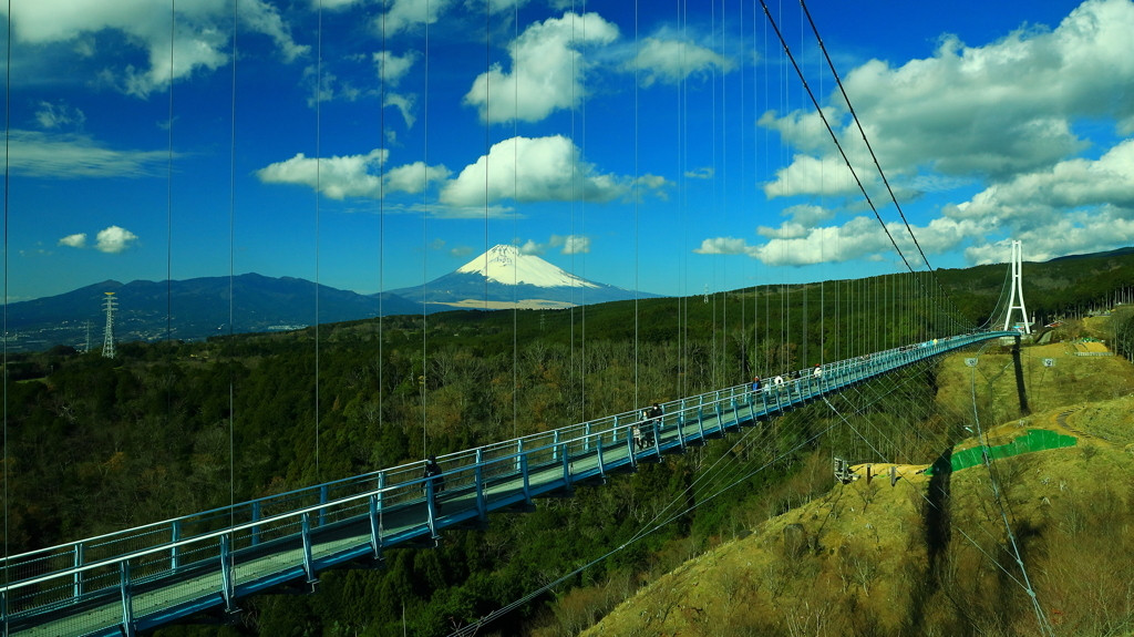伊豆箱根への玄関口、水の都三島を楽しもう！4023487