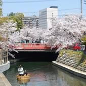クインテッサホテル大垣(岐阜県 ビジネスホテル) / 5