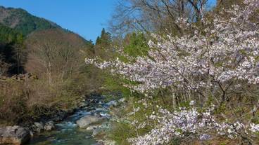 施設の敷地 / 13