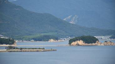 ビーチ / オーシャン ビュー / 18