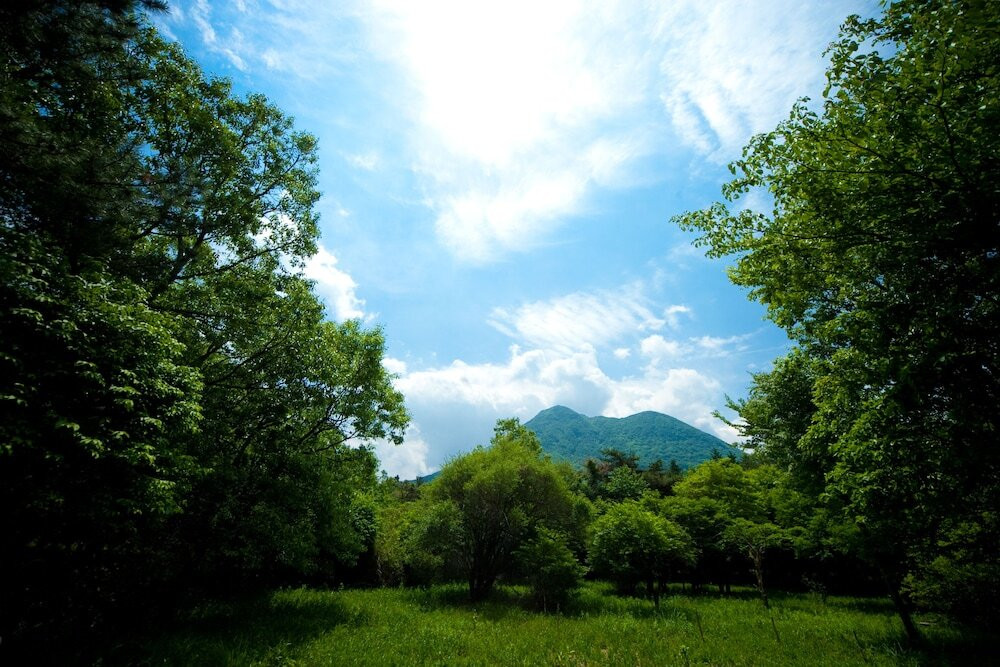 施設からの眺望