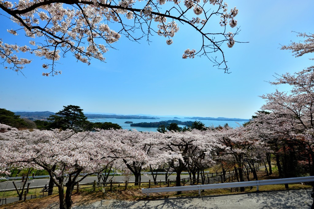 8.西行戻しの松公園1559260