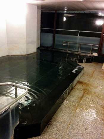 コスパ良好、源泉かけ流しの展望大浴場のある旅館4027006