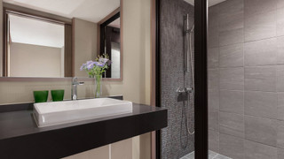 デラックス ルーム キングベッド 1 台 ガーデンビュー (with Outside Hot Spring)