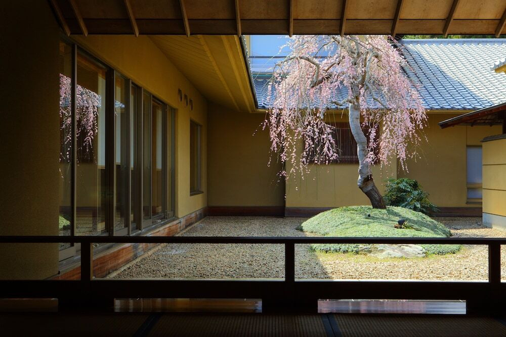 中庭のしだれ桜