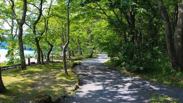 施設の敷地 / 35