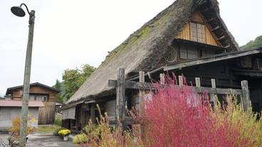 観光スポット / 29