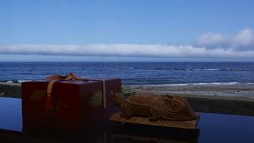 部屋からの景観 / 20