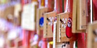 休日は能登でパワーチャージ☆頑張るあなたへ1泊2日のオトナ女子旅／石川