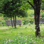 そこは癒しの庭園♡生活の木ファン必見の埼玉「ハーブガーデン」