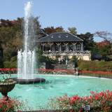 箱根強羅公園 植物園（ハコネゴウラコウエン　ショクブツエン）