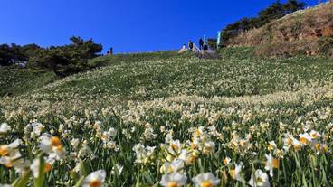 観光スポット / 3