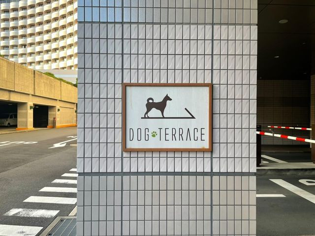 _toi.toi.toi._さんの写真 / 5