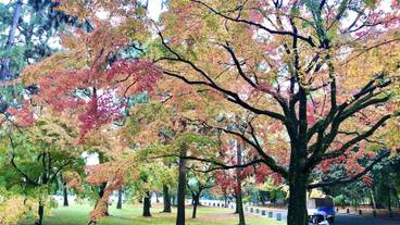 観光スポット / 9