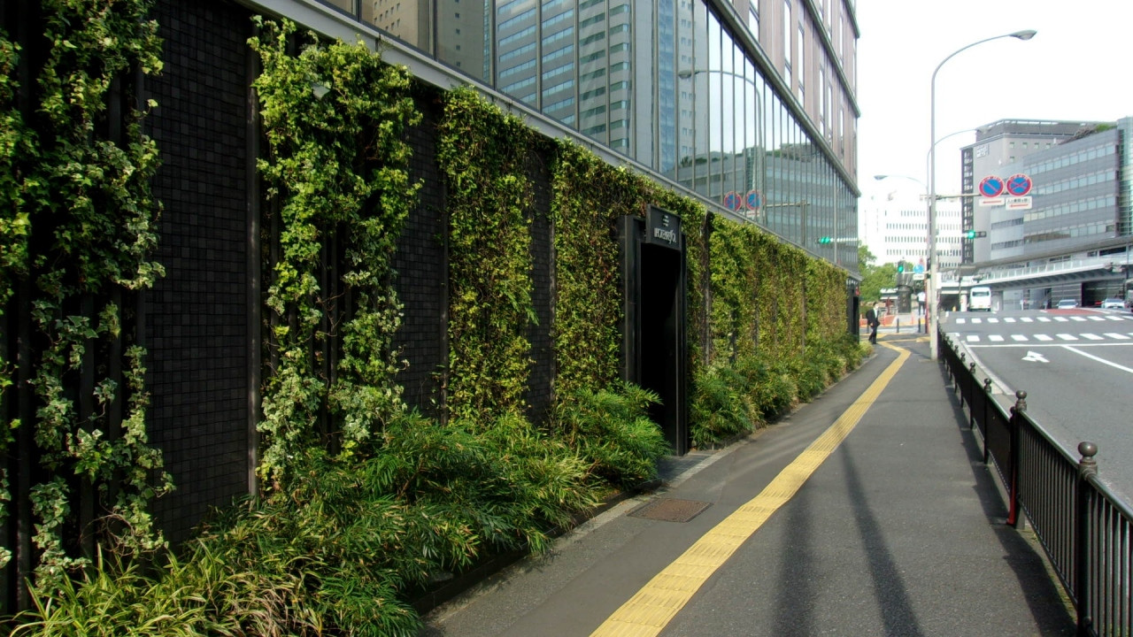 入口玄関の看板は小さく、捜してしまう(市役所側の大通りに面す