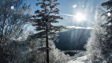 施設からの眺望 / 12