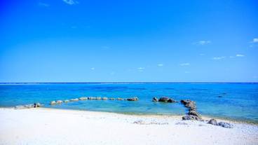 観光スポット / 1