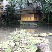 ホテルガーデンスクエア静岡（静岡県 ビジネスホテル） / 3