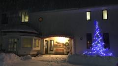 ペンション＆コテージ 植物誌