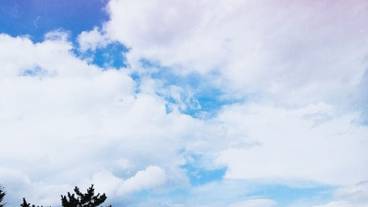 観光スポット / 10