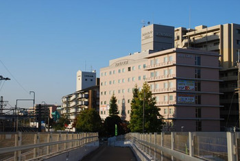 本格的な和定食で気持ちの良い1日を3729116