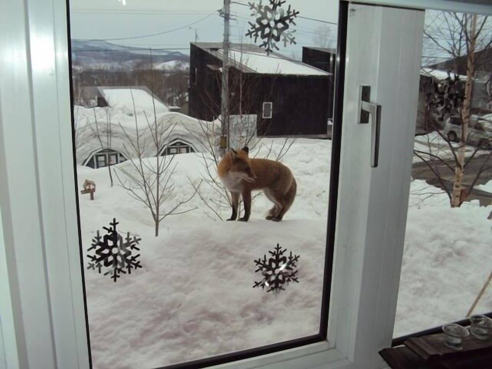 部屋からの景観