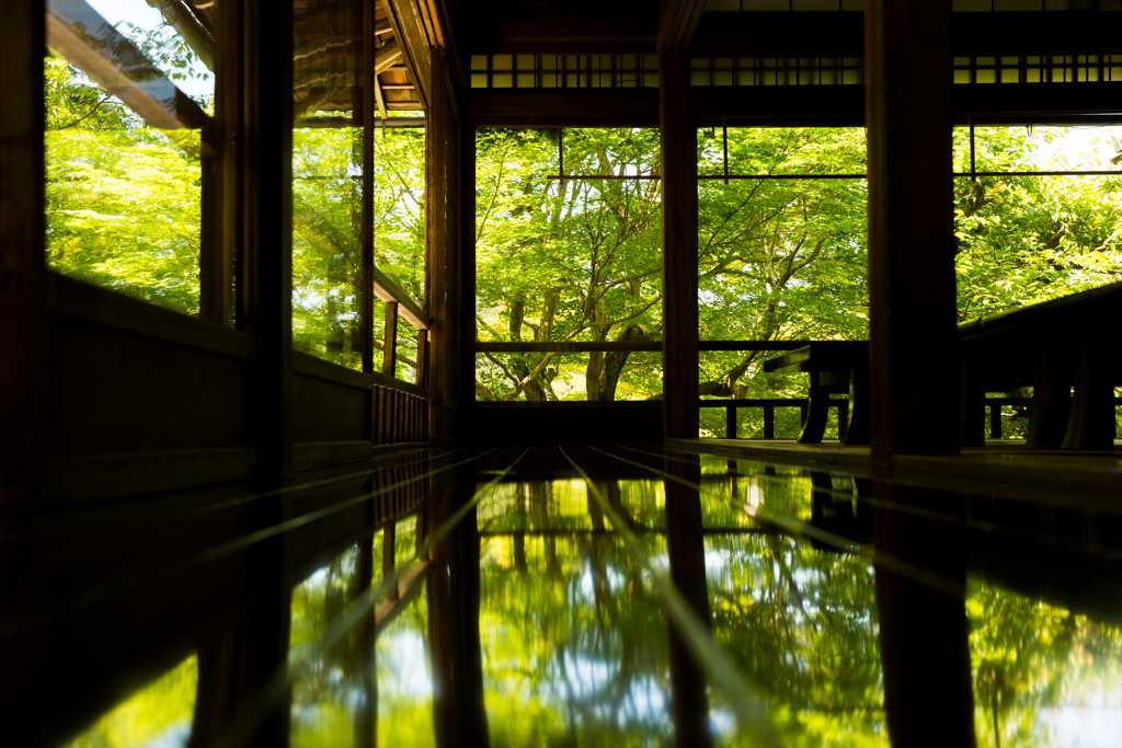光明寺　瑠璃光院（こうみょうじ　るりこういん）1584685