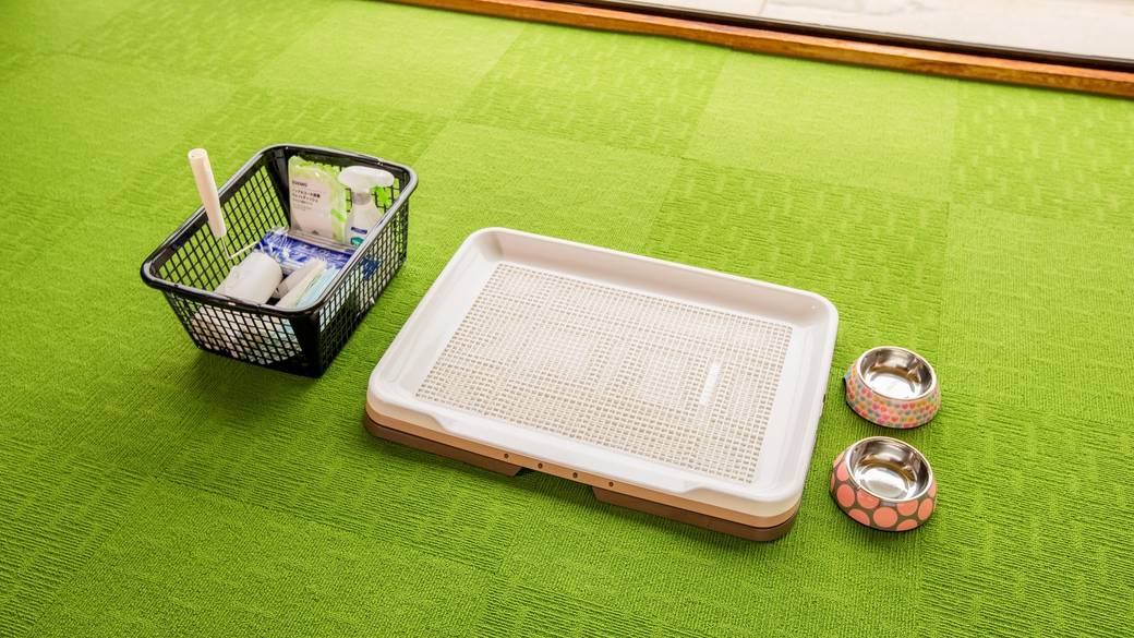 わんちゃん用アメニティ / 5