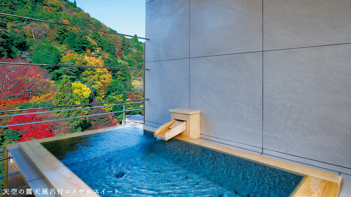 有馬温泉 月光園 鴻朧館(アリマオンセン ゲッコウエン コウロウカン) / 1