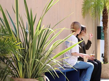 Miss Morgan Hotel / 4