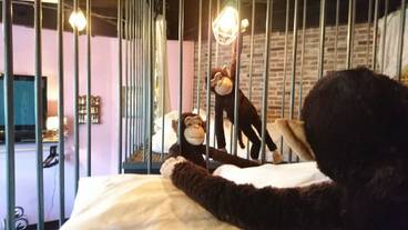 客室の設備とサービス / 19