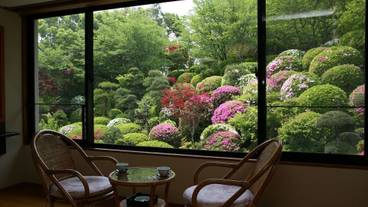 ガーデン ビュー / 15