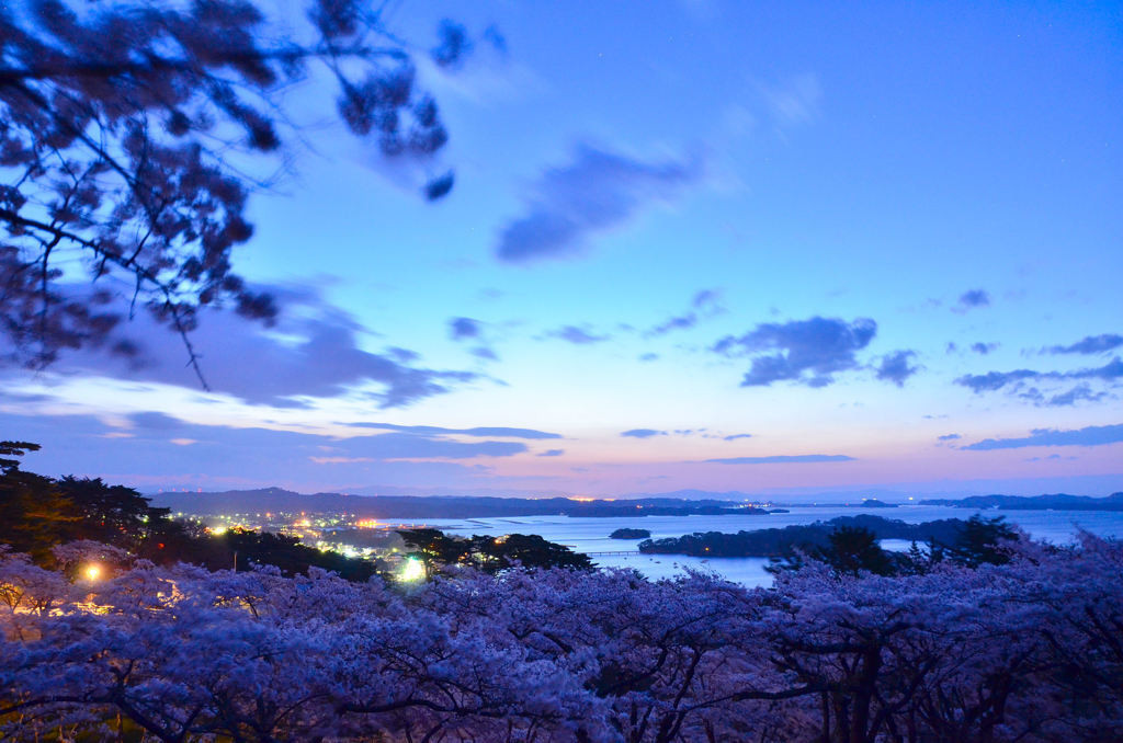 8.西行戻しの松公園1559265