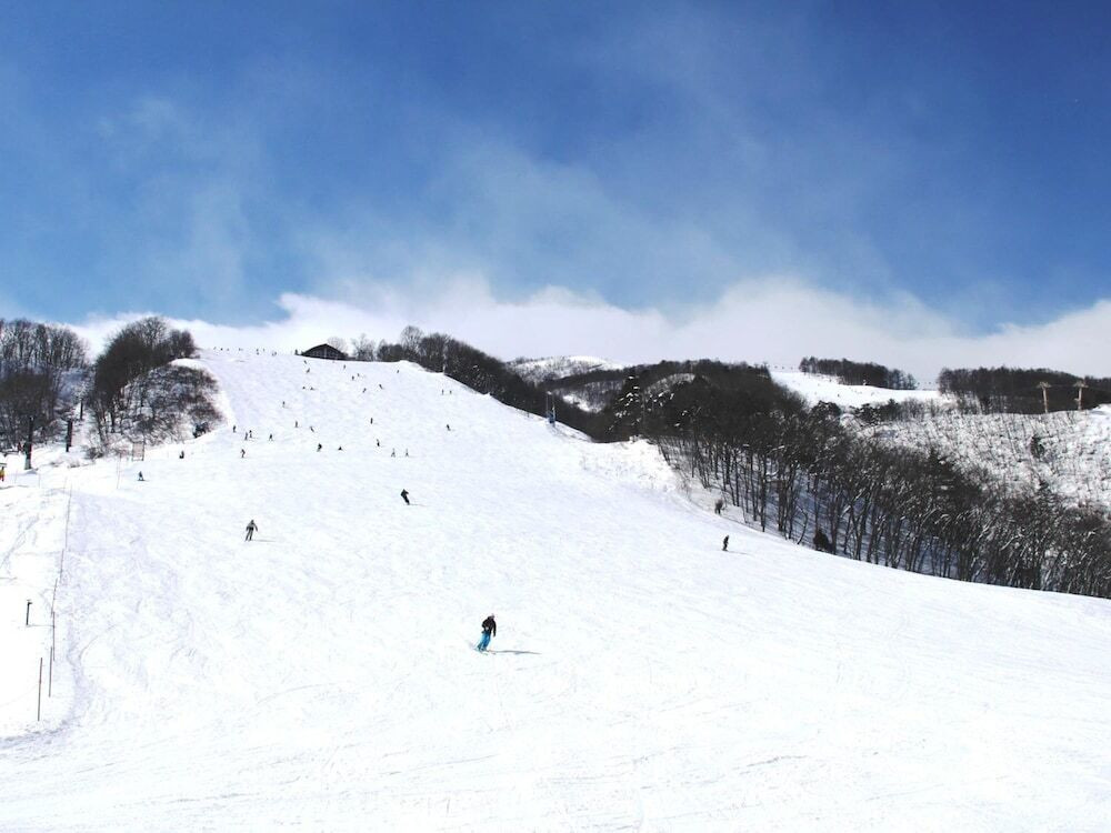 スノー スポーツとスキー