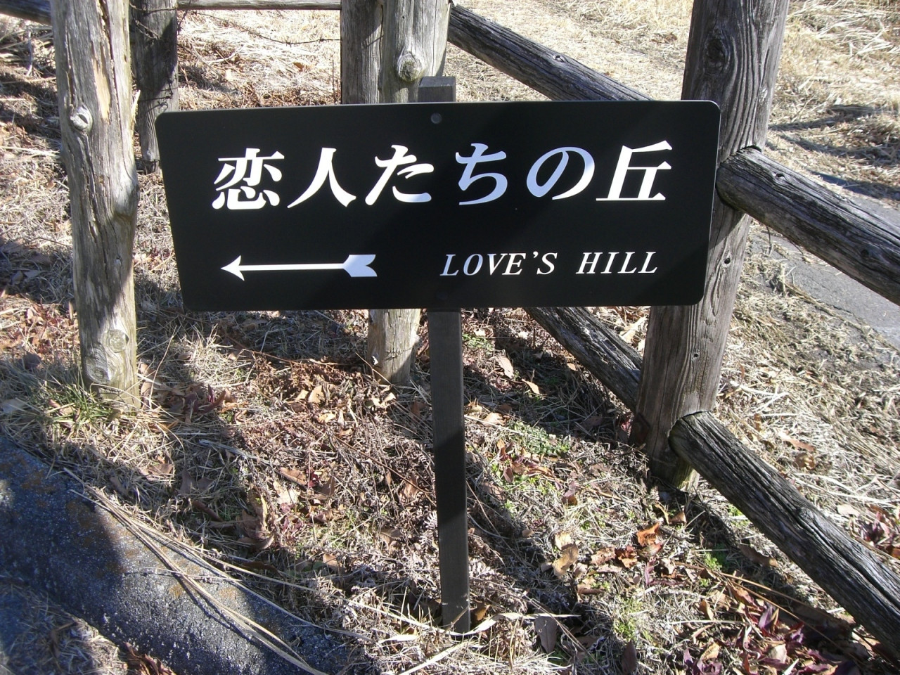 ⑤ウォーキングで綺麗な景色を楽しもう！1203941