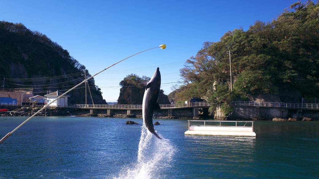 下田海中水族館② / 4