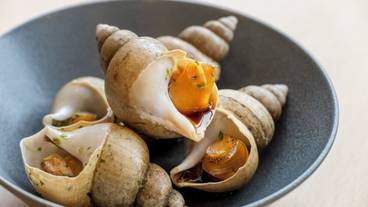 朝食ビュッフェ / 4