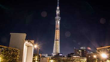 テラス / パティオ / 6