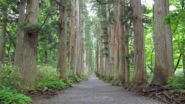 観光スポット / 14