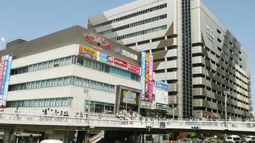 観光スポット / 13