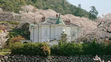 観光スポット / 15